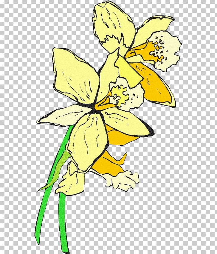 Floral Design Encapsulated PostScript Flower PNG, Clipart, Art, Artwork, Cut Flowers, Daffodil, Encapsulated Postscript Free PNG Download