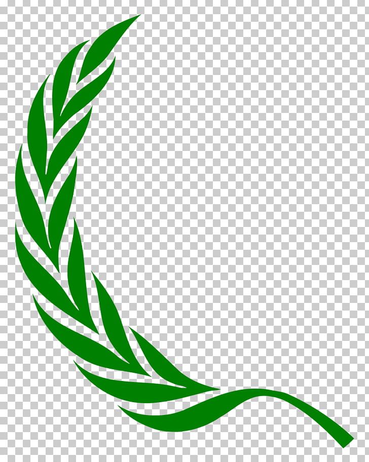 Laurel Wreath Bay Laurel Olive Wreath PNG, Clipart, Artwork, Bay Laurel, Cherry Laurel, Christmas, Clip Art Free PNG Download