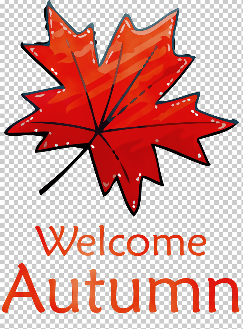 Maple Leaf PNG, Clipart, Autumn, Hot Tub, Leaf, Maple Leaf, Paint Free PNG Download