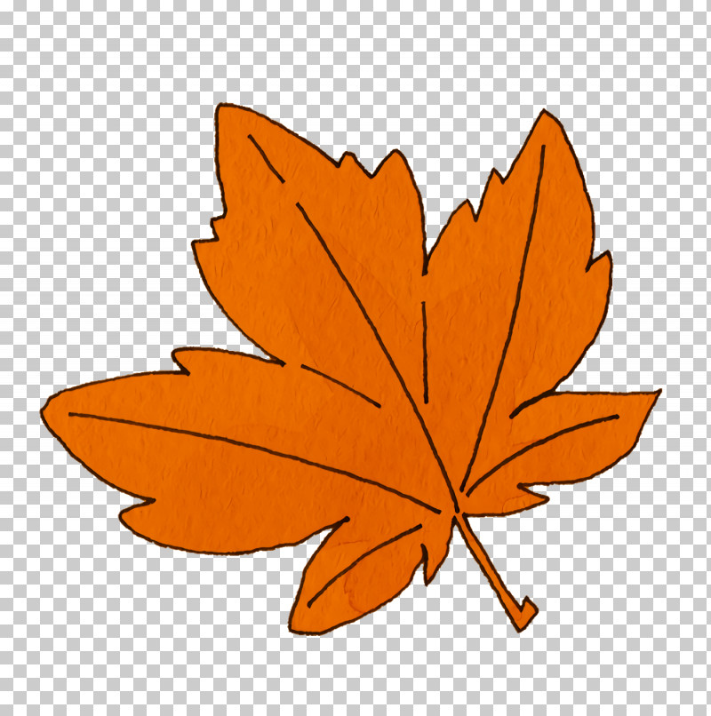 Petal Leaf M-tree Tree Flower PNG, Clipart, Biology, Flower, Leaf, Mtree, Petal Free PNG Download