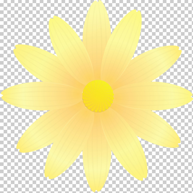 Sunflower PNG, Clipart, Flower, Gerbera, Marguerite Flower, Paint, Petal Free PNG Download