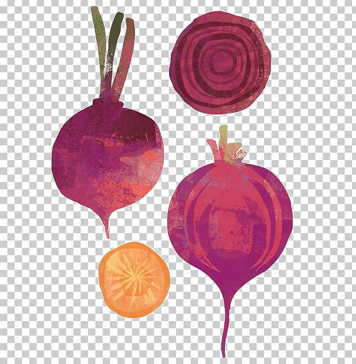 Beetroot Vegetable Onion Shallot Illustration PNG, Clipart, Beetroot, Creative, Creative Vegetable, Drawing, Food Free PNG Download