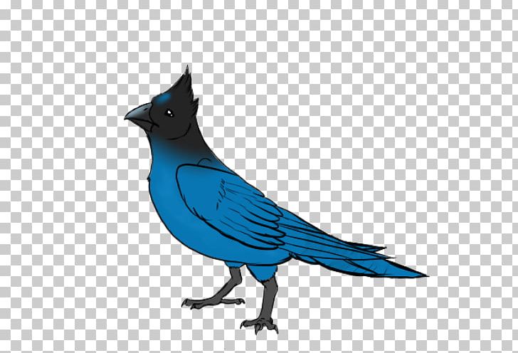 Blue Jay Cobalt Blue Feather PNG, Clipart, Animals, Beak, Bird, Blue, Blue Jay Free PNG Download