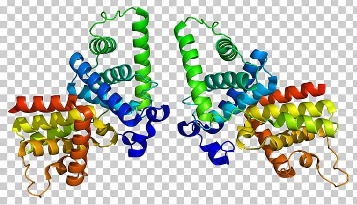 Cyclin T2 Cyclin D1 Cyclin D3 Protein PNG, Clipart, Art, Conserved Sequence, Cyclin, Cyclin D1, Cyclin D3 Free PNG Download