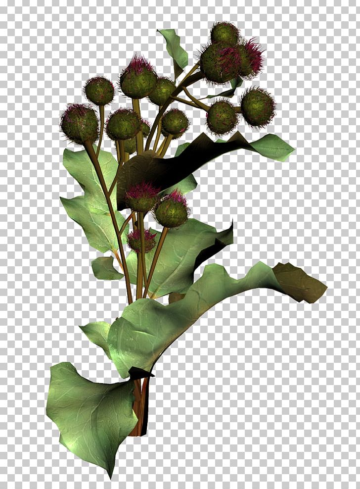 Flower Arranging Branch Grass PNG, Clipart, Adobe Illustrator, Auglis, Ball, Balls, Branch Free PNG Download