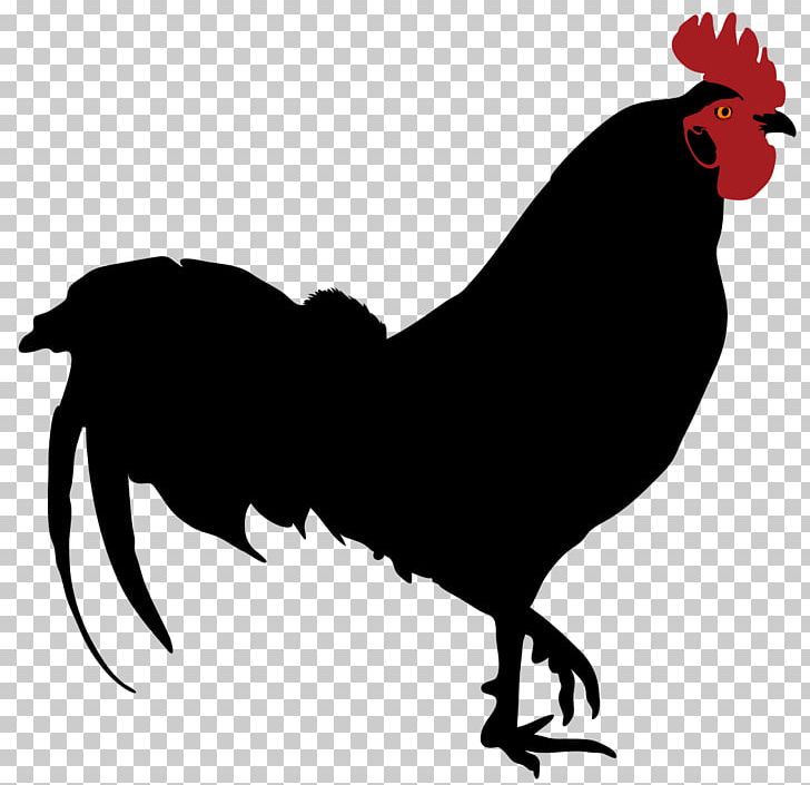 Rooster Silhouette Chicken Png Clipart Animals Beak Bird Black And White Ch...