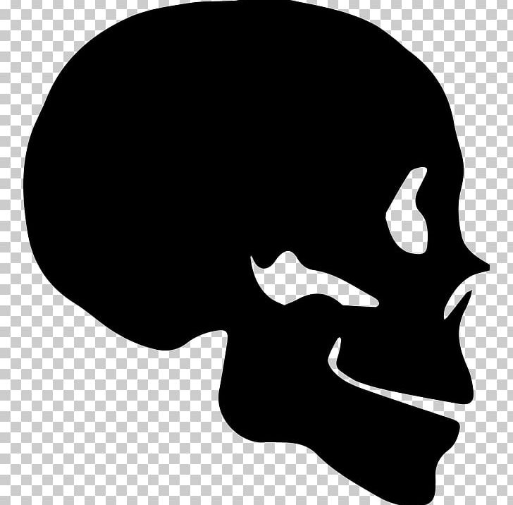 Skull Silhouette Bone Human Skeleton PNG, Clipart, Black, Black And White, Bone, Death, Fantasy Free PNG Download