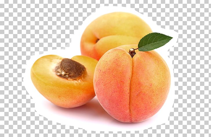 Apricot Kernel Portable Network Graphics Transparency Nectar PNG, Clipart, Almond, Apricot, Apricot Kernel, Computer Icons, Diet Food Free PNG Download
