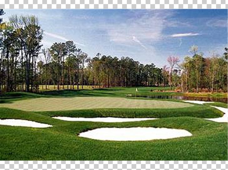 Golf Course Wachesaw Plantation Resort Hotel PNG, Clipart, Beach, Estate, Golf, Golf Club, Golf Course Free PNG Download