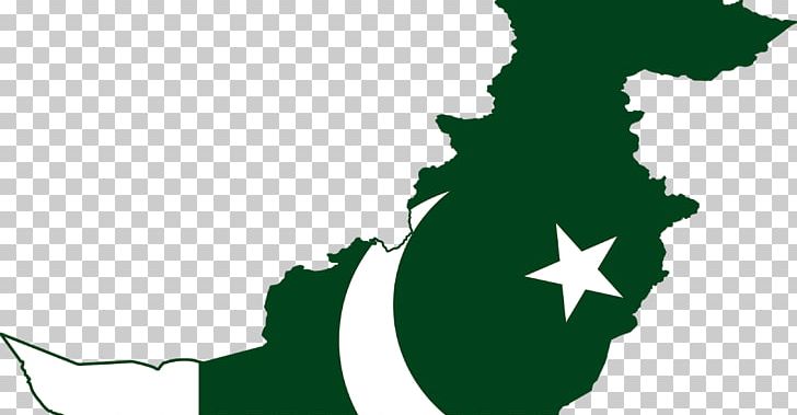 Pakistan National Cricket Team World Cricketer PNG, Clipart, Black And White, Computer Wallpaper, Cricketer, Current, Flag Of Pakistan Free PNG Download