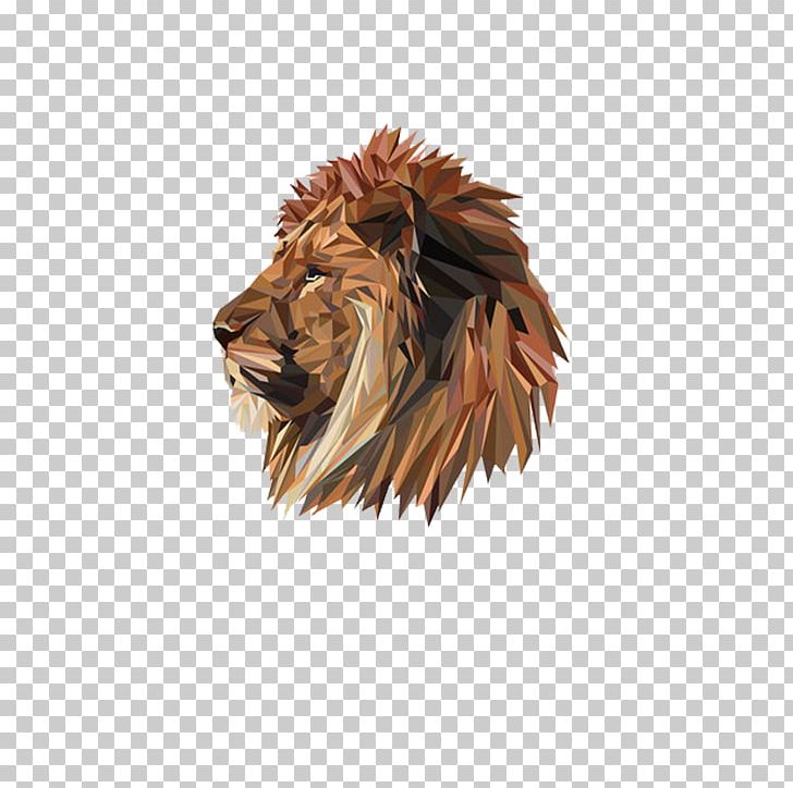 Art Drawing Illustration PNG, Clipart, Abstract Lionhead, Animal, Animals, Artist, Big Cats Free PNG Download