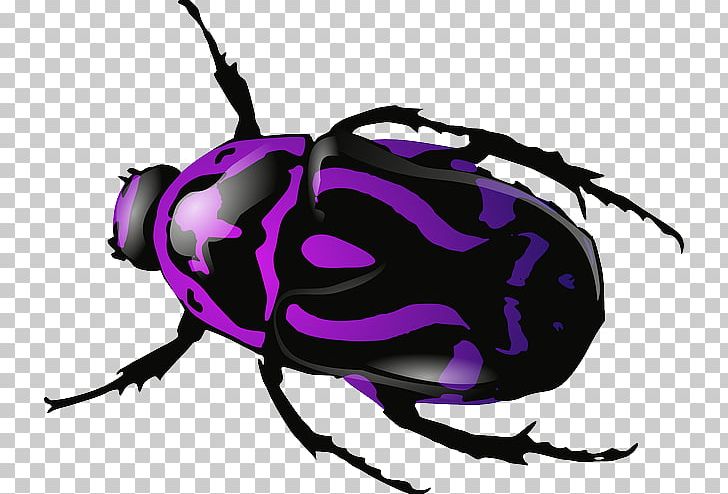 Beetle Computer Icons PNG, Clipart, Arthropod, Artwork, Beetle, Computer Icons, Desktop Wallpaper Free PNG Download