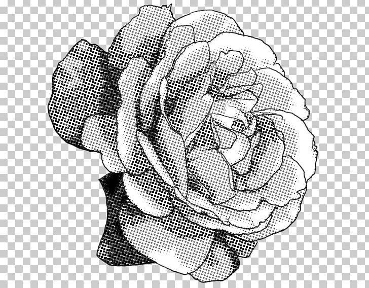 Black And White Rose Drawing PNG, Clipart, Art, Artwork, Black, Black And White, Circle Free PNG Download