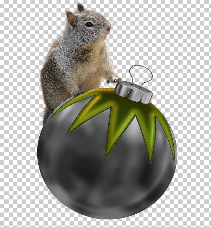 Chipmunk Squirrel Christmas Decoration Christmas Ornament PNG, Clipart, Animals, Chipmunk, Christmas, Christmas Decoration, Christmas Ornament Free PNG Download