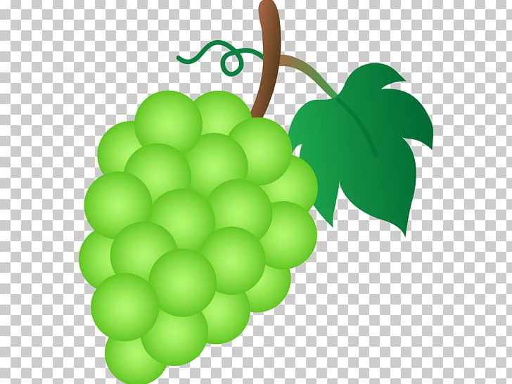 Common Grape Vine Grape Leaves PNG, Clipart, Common Grape Vine, Food, Fruit, Grape, Grape Juice Free PNG Download