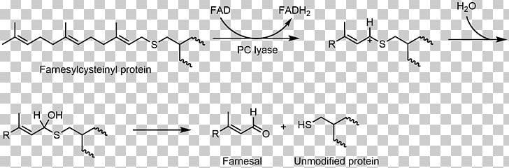 Flavin Adenine Dinucleotide Hemithioacetal Flavin Group Redox Biology PNG, Clipart, Angle, Area, Biochemistry, Biology, Black Free PNG Download