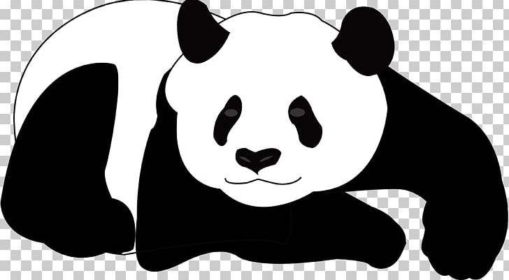 Giant Panda Bear Koala PNG, Clipart, Animals, Artwork, Bear, Black, Carnivoran Free PNG Download