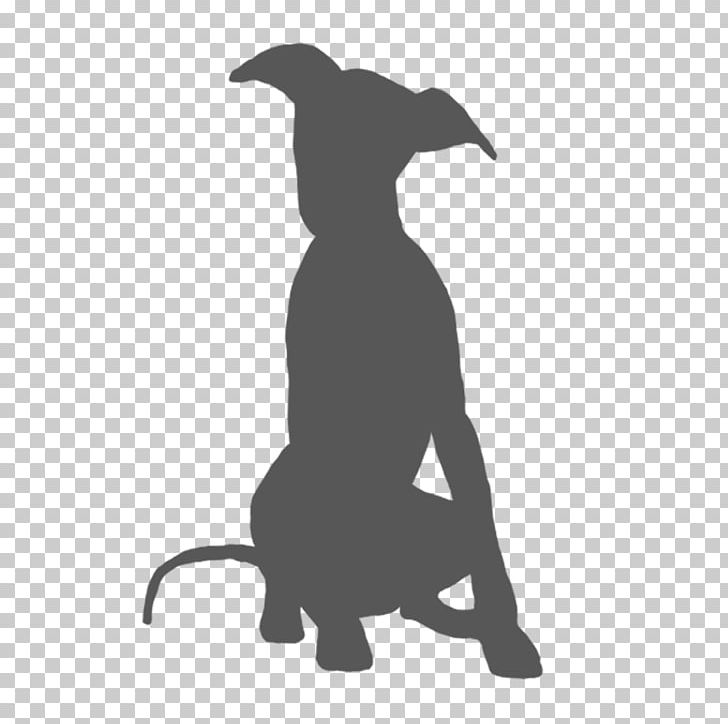 Italian Greyhound Whippet Spanish Greyhound Lurcher PNG, Clipart, Beak, Black, Black And White, Carnivoran, Coat Free PNG Download