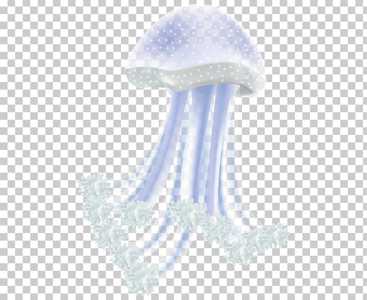 Jellyfish Transparency And Translucency PNG, Clipart,  Free PNG Download