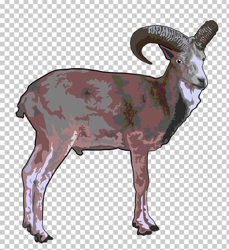 Sheep Argali Goat Urial PNG, Clipart, Animal Figure, Animals, Animation, Argali, Barbary Sheep Free PNG Download