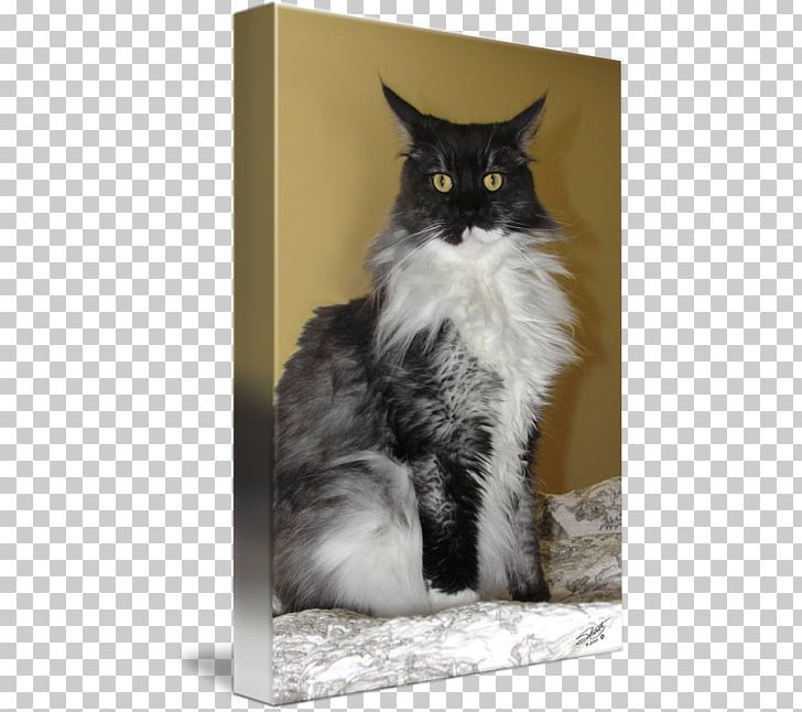 Whiskers Norwegian Forest Cat Maine Coon Domestic Short-haired Cat Domestic Long-haired Cat PNG, Clipart, Cat, Cat Like Mammal, Domestic Long Haired Cat, Domestic Longhaired Cat, Domestic Short Haired Cat Free PNG Download