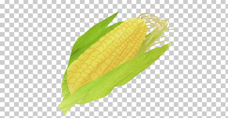 Corn Soup Corn On The Cob Vegetarian Cuisine Maize Sweet Corn PNG, Clipart, Cachapa, Commodity, Cooking, Corn Kernel, Corn On The Cob Free PNG Download