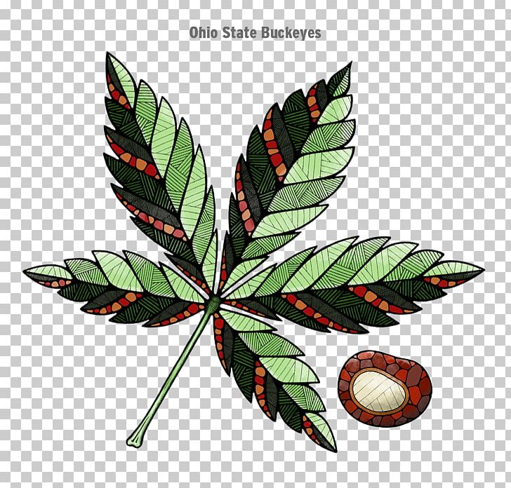 Leaf Flowerpot PNG, Clipart, Adidas, Flowerpot, Leaf, Plant Free PNG Download