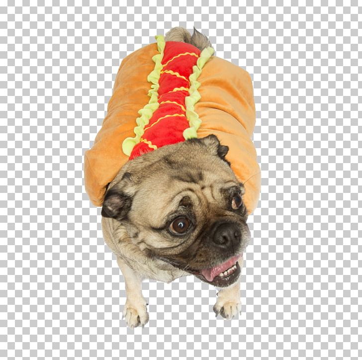 Pug Puppy Dog Breed Companion Dog Costume PNG, Clipart, Animals, Breed, Bun, Carnivoran, Clothing Free PNG Download