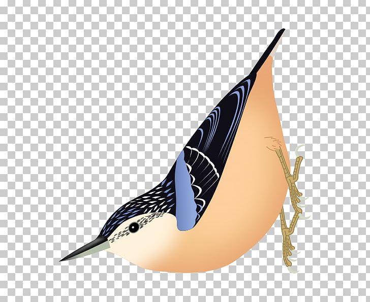 Bird Algerian Nuthatch Corsican Nuthatch Eurasian Nuthatch White-browed Nuthatch PNG, Clipart, Algerian Nuthatch, Animals, Beak, Beautiful Nuthatch, Bird Free PNG Download