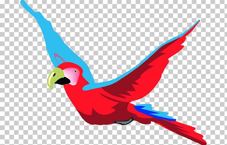 Parrot Bird Macaw PNG, Clipart, Animal, Animals, Art, Beak, Bird Free PNG Download