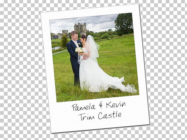 Wedding Photography Wedding Photography Photographer PNG, Clipart, Album, Andy Miller, Bride, Dog Breed, Gown Free PNG Download