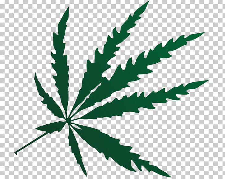 Cannabis Leaf Photography PNG, Clipart, Cannabis, Cannabis Sativa, Depositphotos, Download, Flowering Plant Free PNG Download