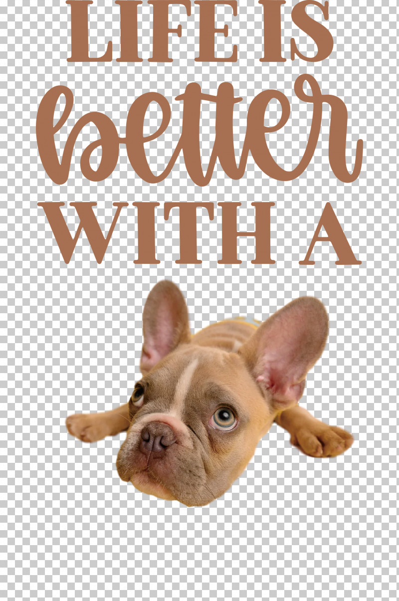 Life Better PNG, Clipart, Better, Breed, Bulldog, Dog, French Bulldog Free PNG Download