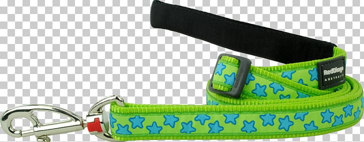 Leash Dog Collar Dingo PNG, Clipart,  Free PNG Download
