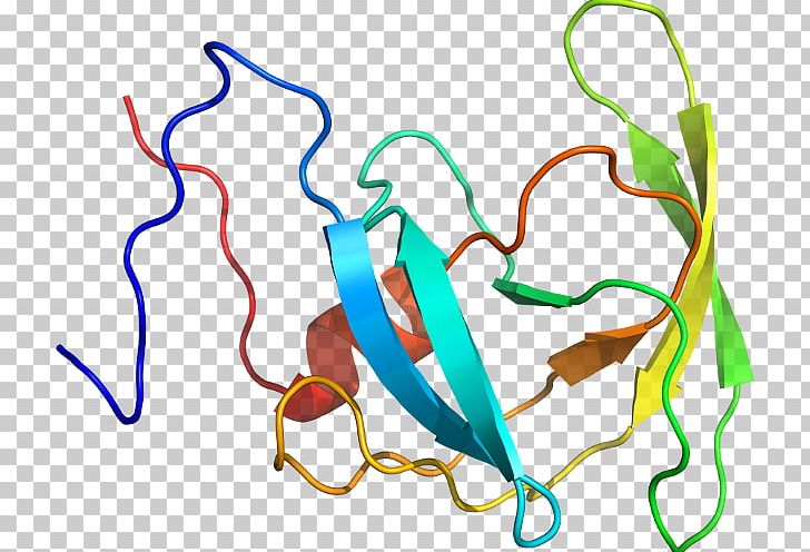 Product Design Organism Line PNG, Clipart, Area, Artwork, Line, Organism, Others Free PNG Download