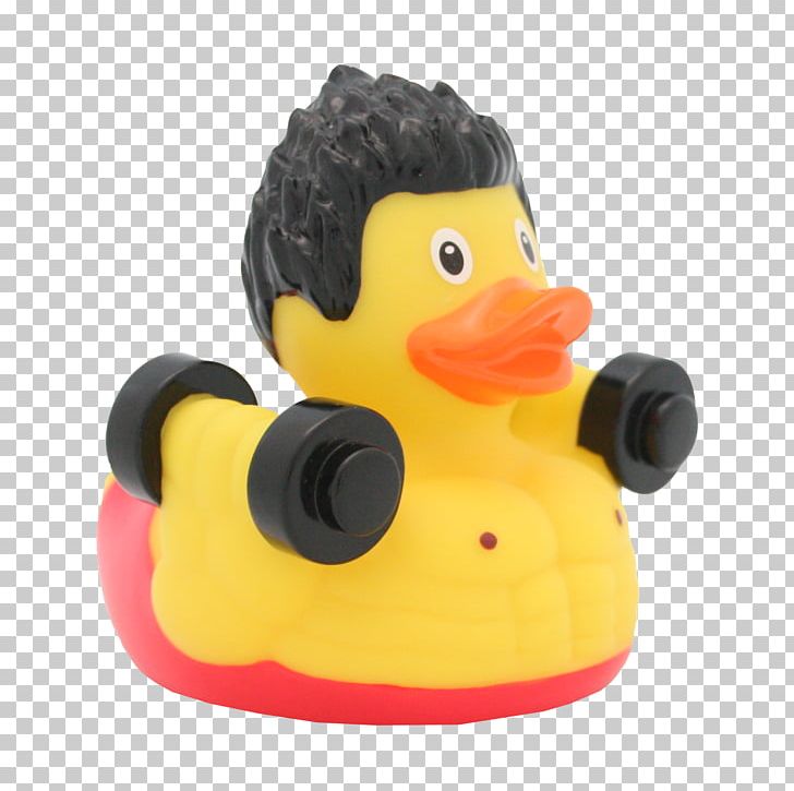 Rubber Duck Sport Toy PNG, Clipart, Animals, Beak, Bird, Bodybuilder, Collecting Free PNG Download