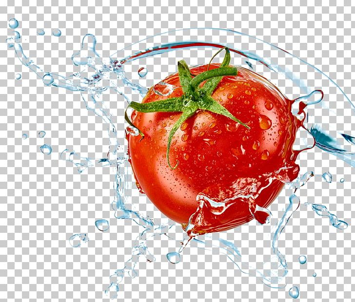 Tomato Fort Lauderdale Beach Ozone Air Purifier Vegetable PNG, Clipart, Color Splash, Diet Food, Disinfectants, Food, Fort Lauderdale Beach Free PNG Download