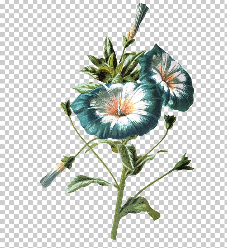 Flower PNG, Clipart, Art, Editing, Flower, Flower Flower, Flowering Plant Free PNG Download