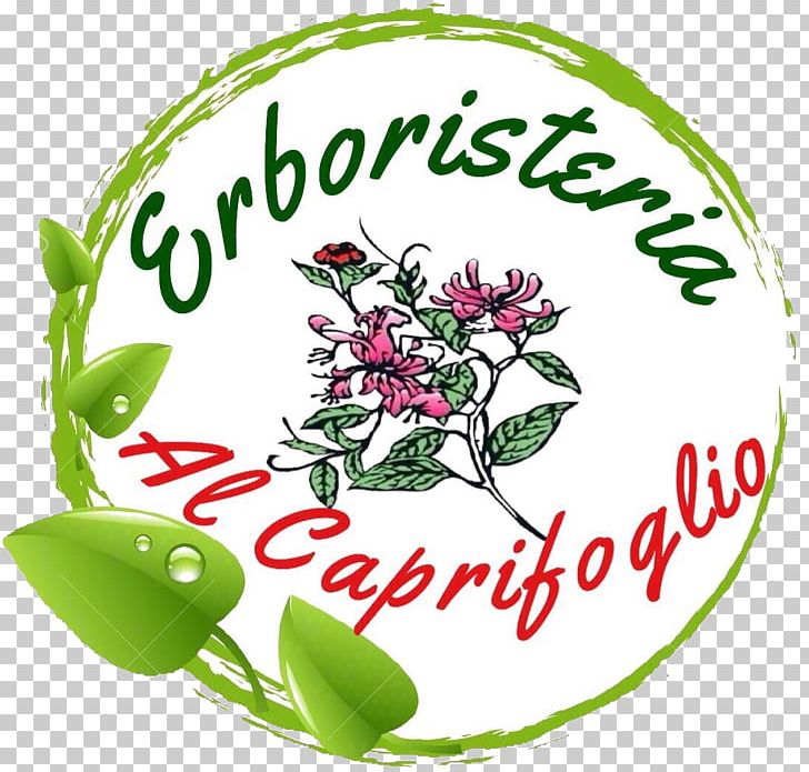Herbal Tea Fruit Herbalism PNG, Clipart, Argan Oil, Artwork, Capri, Coconut Oil, Cut Flowers Free PNG Download