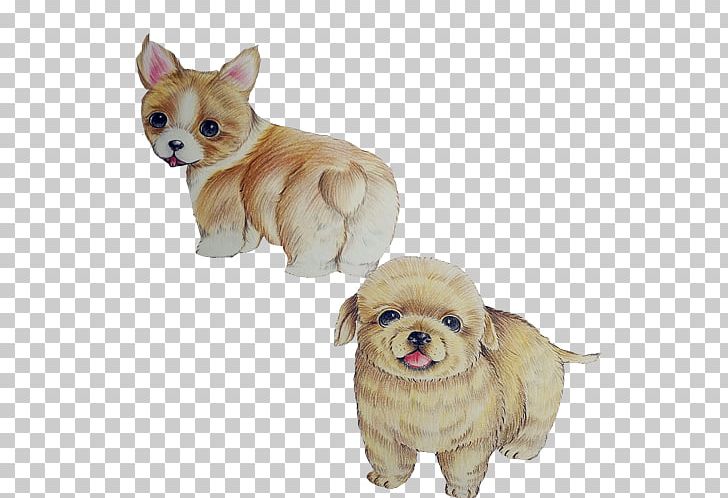 Pembroke Welsh Corgi Bichon Frise Puppy Dog Breed PNG, Clipart, Animals, Carnivoran, Chow, Color, Color Powder Free PNG Download