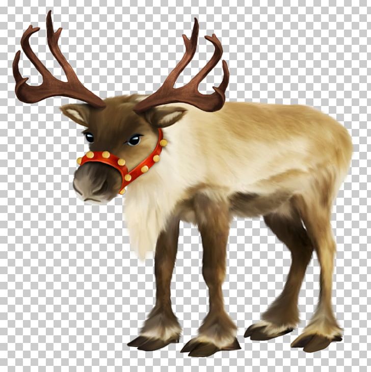 Reindeer Portable Network Graphics Psd PNG, Clipart, Animal Figure, Antler, Cartoon, Cattle Like Mammal, Christmas Day Free PNG Download