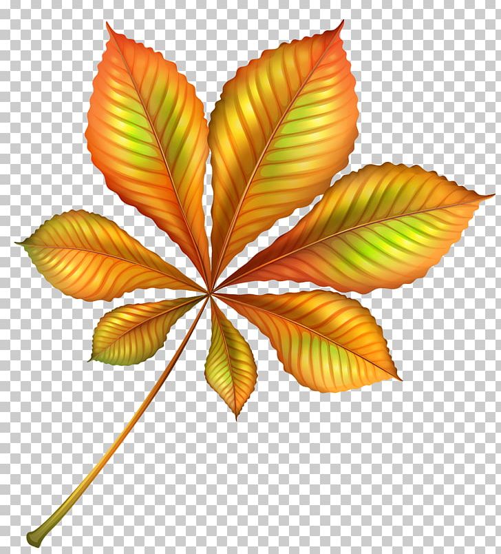 Beautiful Autumn Orange Leaf PNG, Clipart, Autumn, Autumn Leaf Color, Beautiful, Clipart, Color Free PNG Download