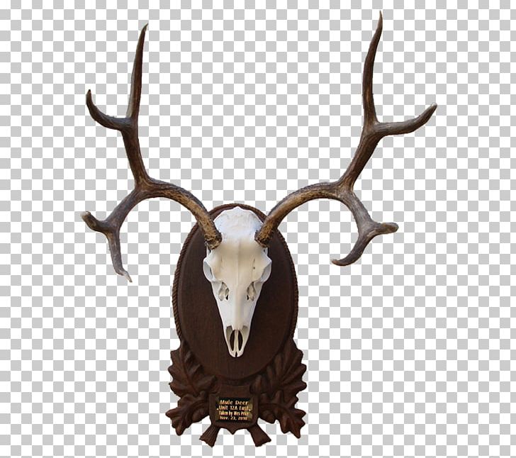 Elk White-tailed Deer Moose Reindeer PNG, Clipart, Animals, Antler, Arizona, Creation, Deer Free PNG Download
