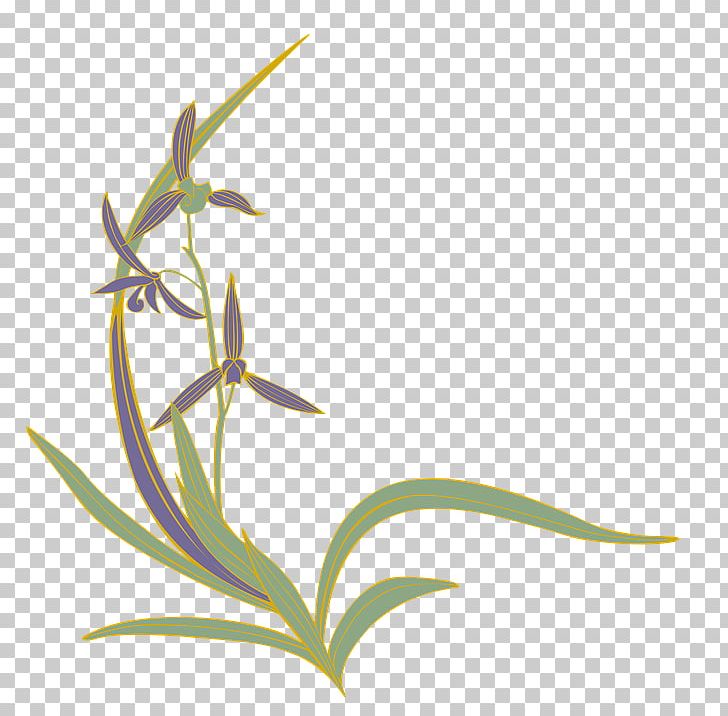 Flowering Plant Portable Network Graphics Grasses Slipper Orchids PNG, Clipart, Download, Flora, Flower, Flowering Plant, Flowers Free PNG Download