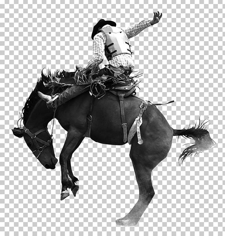 Miles City Bucking Horse Sale Bronco Equestrian PNG, Clipart, Animals, Barrel Racing, Black And White, Bridle, Cowboy Free PNG Download