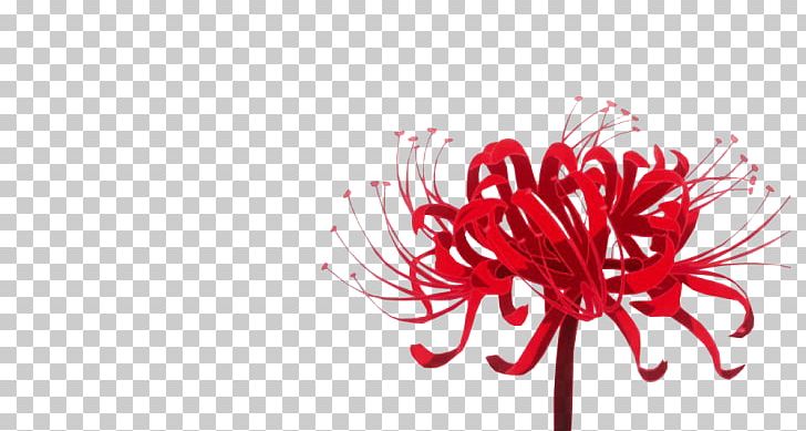 Red Spider Lily Tokyo Ghoul Flower Rat PNG, Clipart, Botany, Cartoon,  Chrysanthemum, Chrysanths, Computer Wallpaper Free