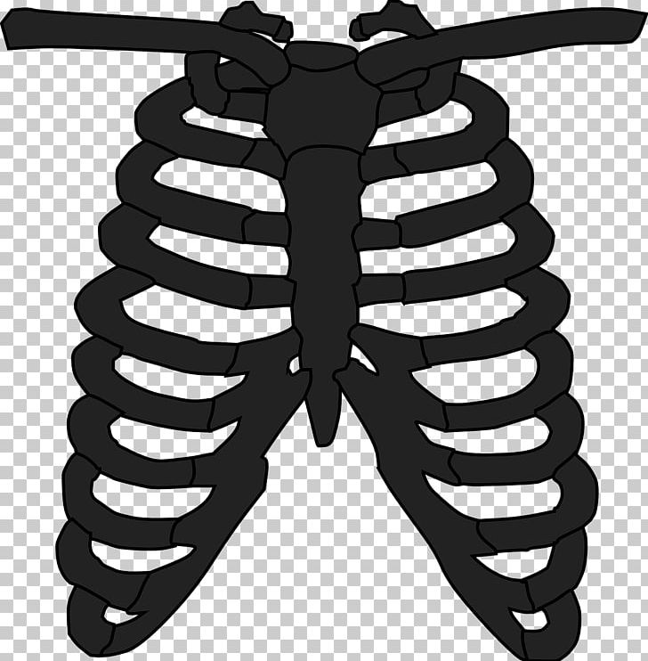 Rib Cage Human Skeleton Anatomy T-shirt PNG, Clipart, Anatomy, Axial Skeleton, Black And White, Bone, Caldo De Costilla Free PNG Download