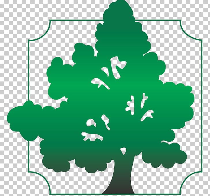 Baptists Southern Baptist Convention Tree .org PNG, Clipart, Baptists, Bay Tourism Association, Flora, Flower, Flowering Plant Free PNG Download