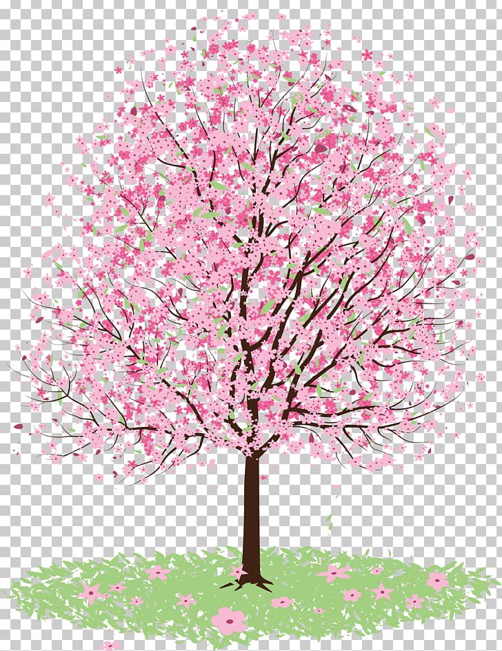 How To Draw A Cherry Blossom Step By Step