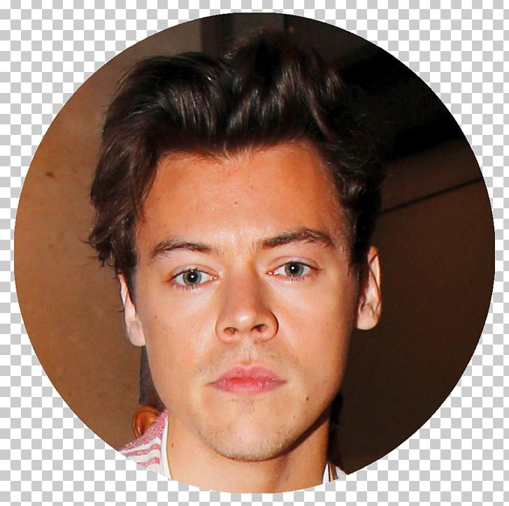 Harry Styles The X Factor Singer-songwriter Celebrity PNG, Clipart, Anna Faris, Boyfriend, Brown Hair, Celebrities, Cheek Free PNG Download